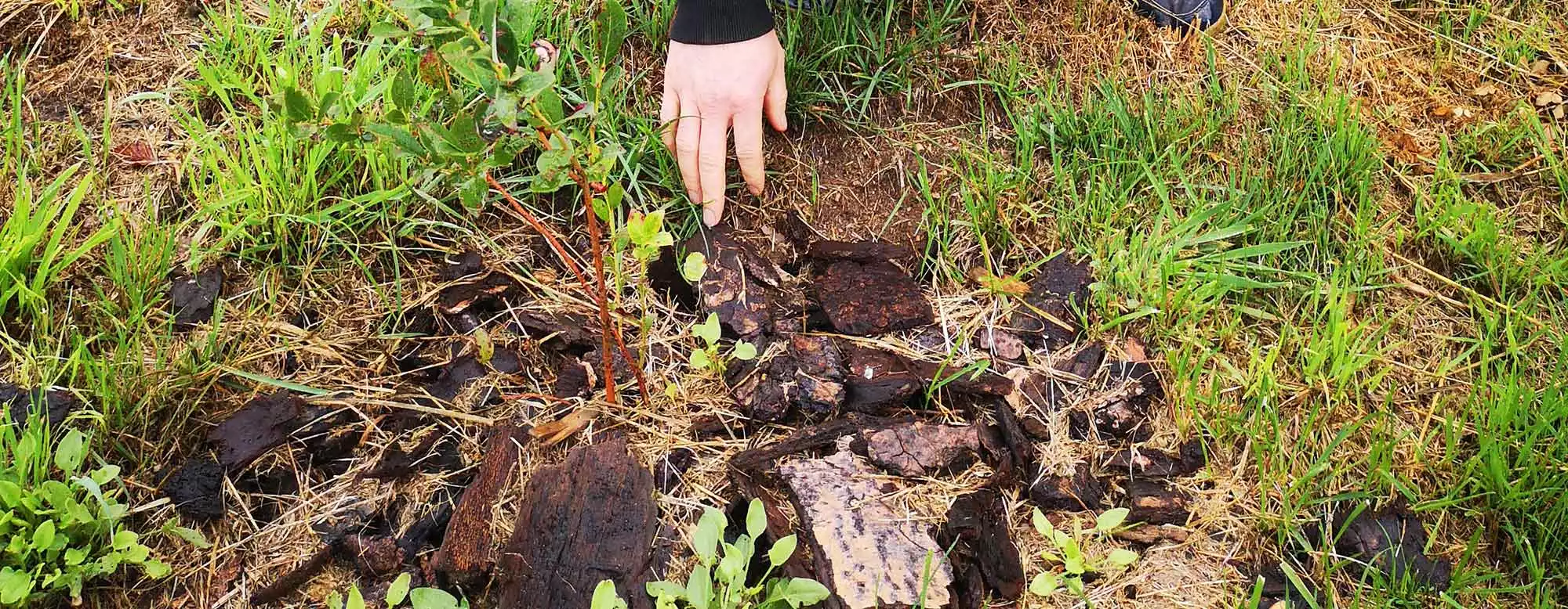 Atelier d'initiation à la Multiplication végétale à la Pépinière Mairôvosgiens