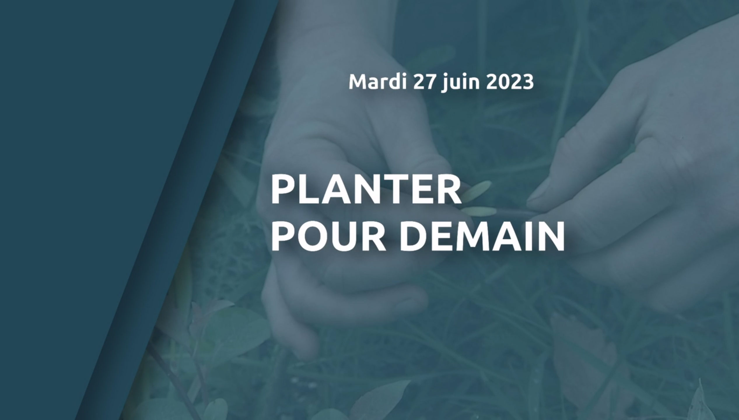 Interview de Nicolas MAIRE Pépinière Mairôvosgiens sur le thème « Planter pour demain » par Vosges TV