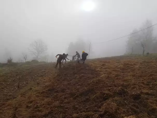 Atelier Plantation de Haie à la Pépinière Mairôvosgiens