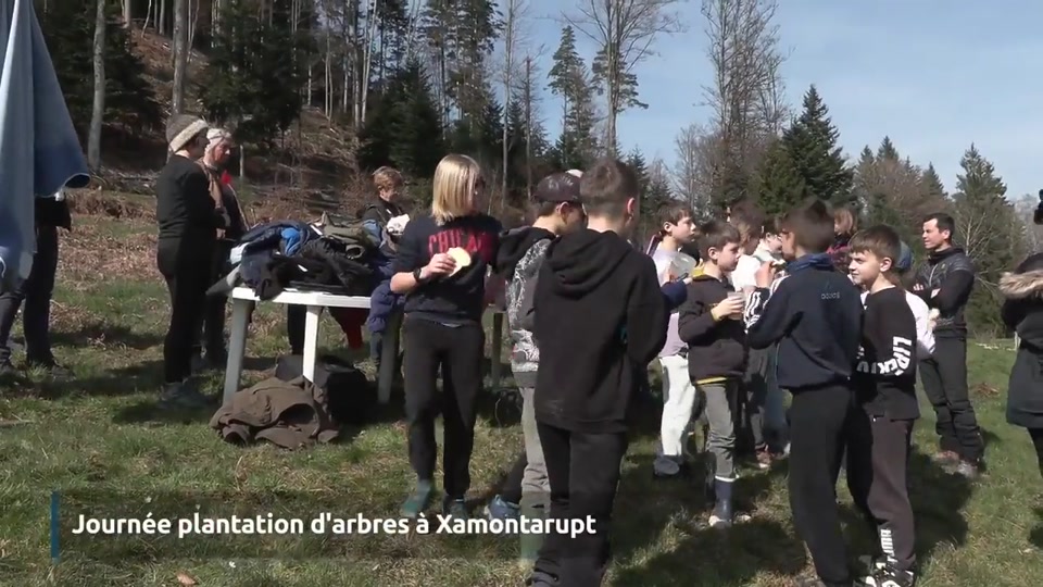 Plantation participative à la pépinière Mairôvosgiens : retour sur la journée du 24 mars 2026